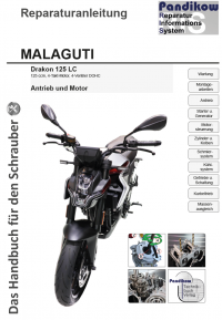Reparaturanleitung RIS Malaguti Drakon 125 LC, Antrieb und Motor