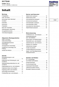 Reparaturanleitung RIS Skyteam Rambo 125 LC, Antrieb und Motor