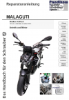 Reparaturanleitung RIS Malaguti Drakon 125 LC, Antrieb und Motor